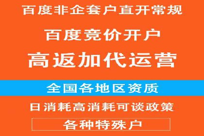 SEM代运营机构案例分析：优化策略与执行